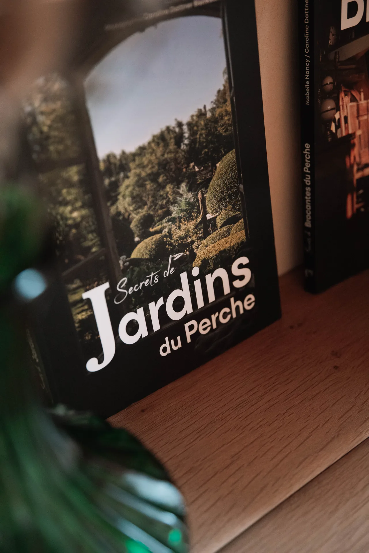 Le Geai des chênes — photo 11